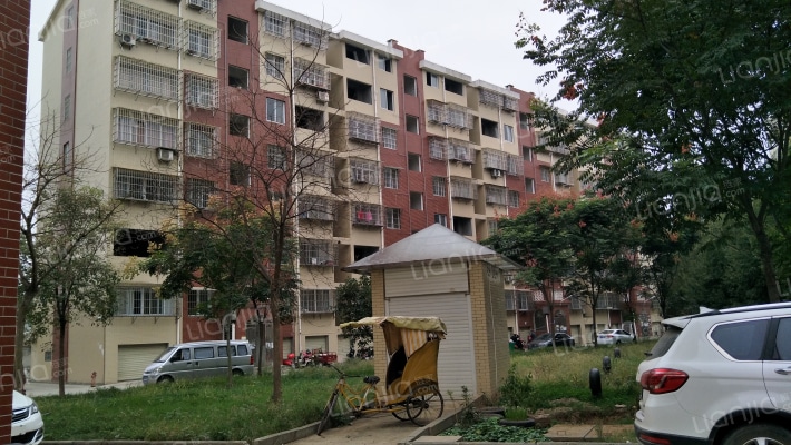 中央美地外景图