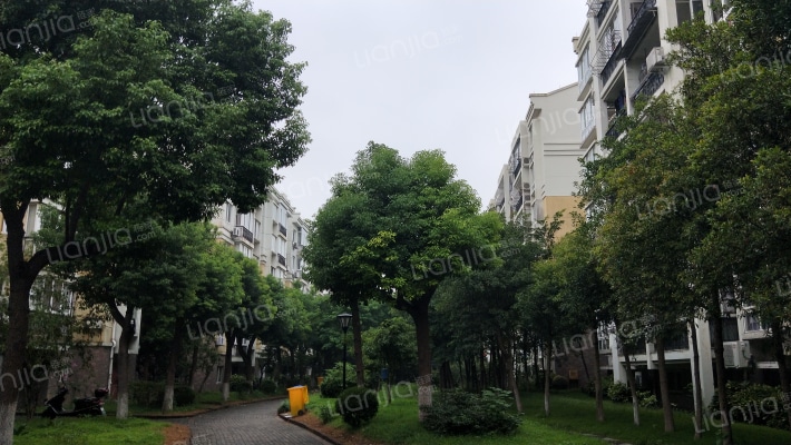 丁香院玉兰苑外景图