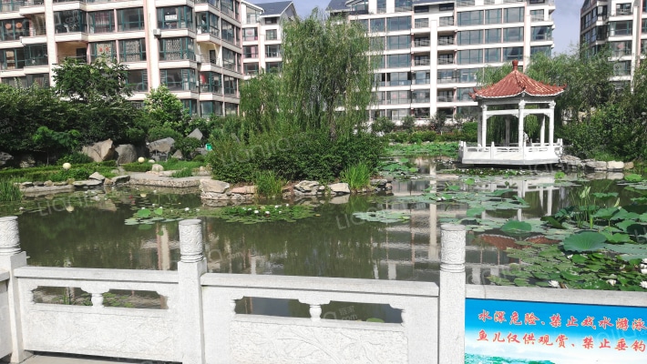 鼎林华府外景图