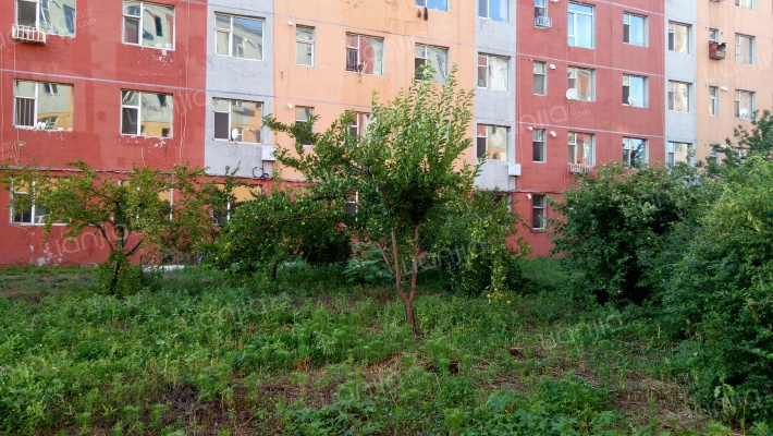 金穗家园(光明路)外景图