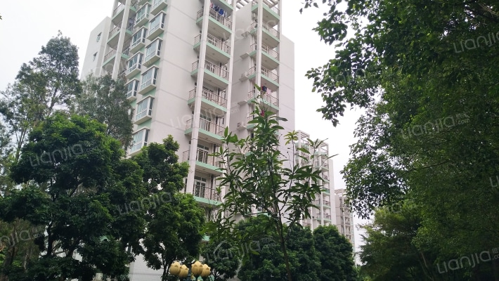 广州中医药大学教师公寓外景图