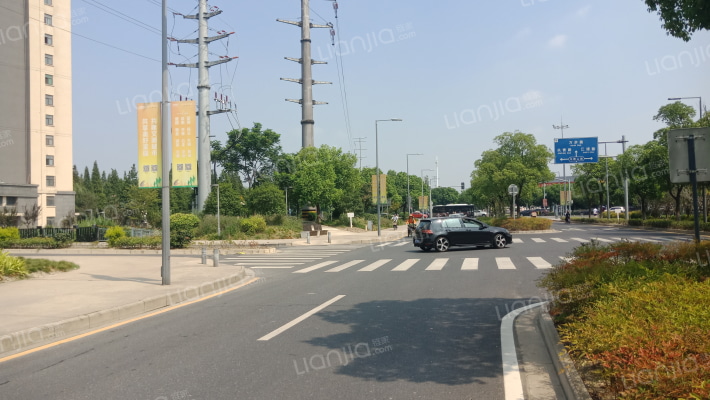 森林半岛外景图