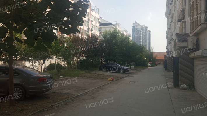 柳树湾花园外景图