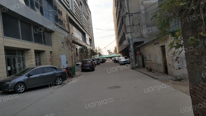 桐城国际外景图