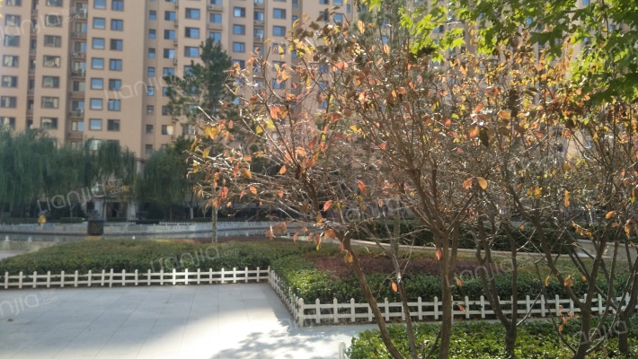 永宁花城外景图