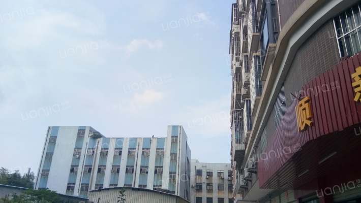 澳邻新座外景图