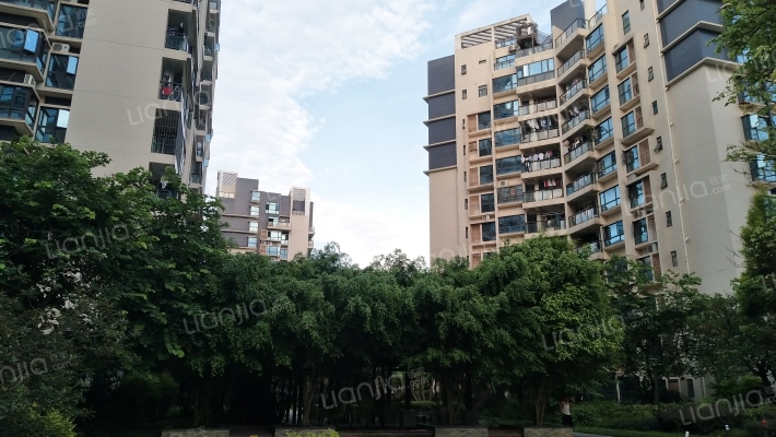 绿海云天外景图