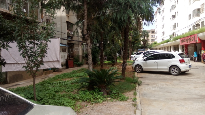 云南省机电公司家属院外景图