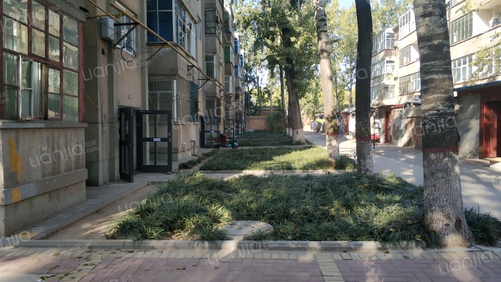 中原石油勘探局第六社区外景图