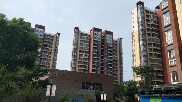 美陆佳苑菊苑外景图