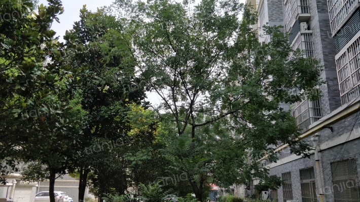 中浙国贸花园南区外景图