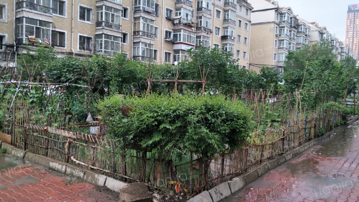 会展家园小区外景图