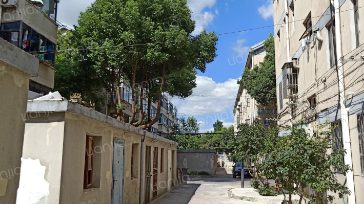 菉溪新村外景图