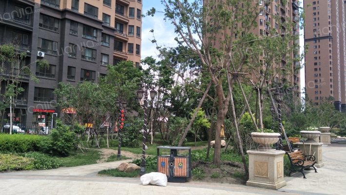 龙跃金水湾外景图