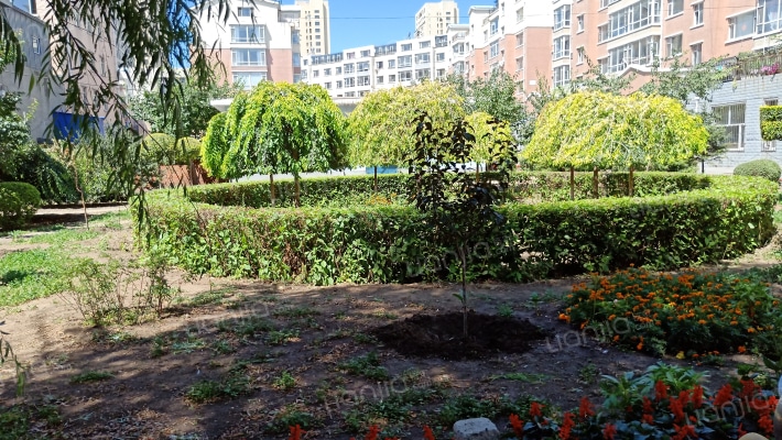 吉地华府外景图