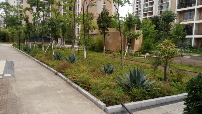 安居家园外景图