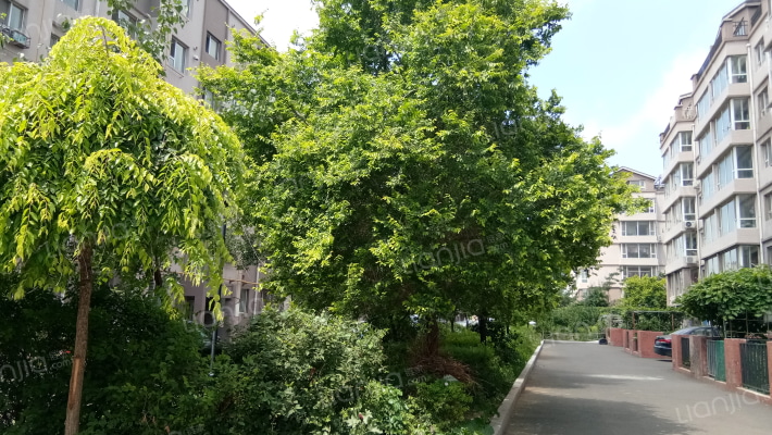 龙新雅居外景图