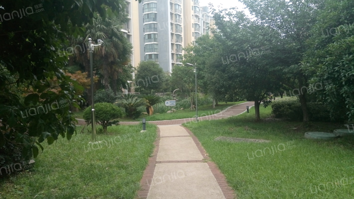 明日枫林外景图