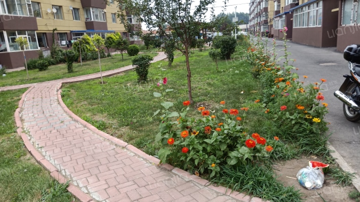 胜利街道前进社区外景图