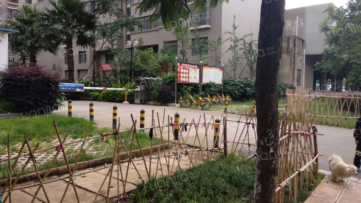 红庙寺花园外景图