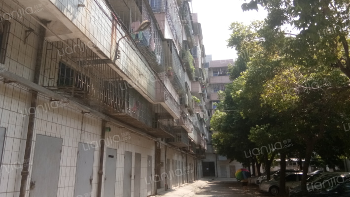 镇政府职工楼外景图