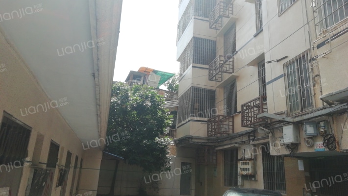 厚源路成凤里小区外景图