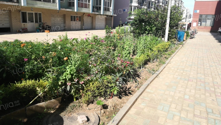 安居花园外景图