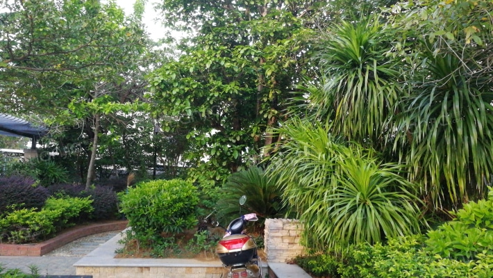 天富花苑外景图