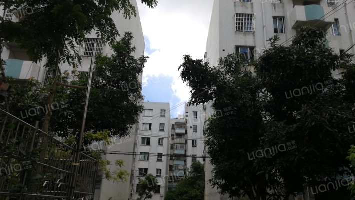 广场西里富贵小区外景图