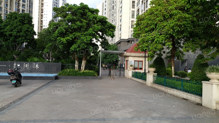 华一·红树林外景图