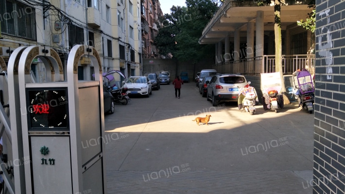 老干部局宿舍外景图