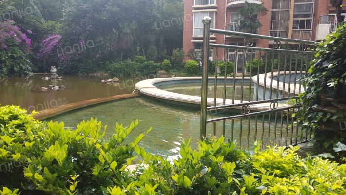 棕榈泉花园外景图