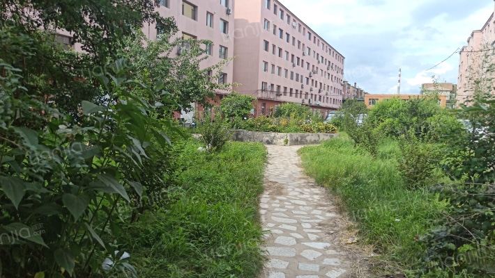 滨河新村外景图