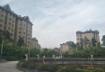 琥珀城1