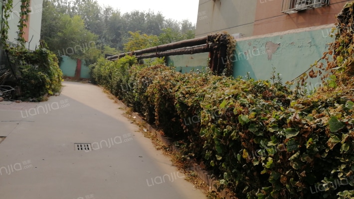 防水建材宿舍外景图