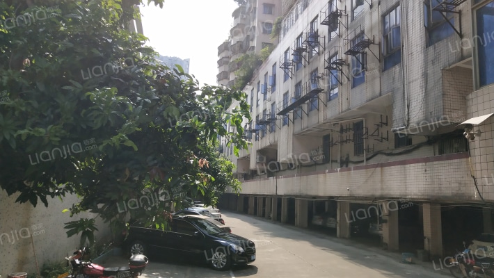 金鑫大厦外景图