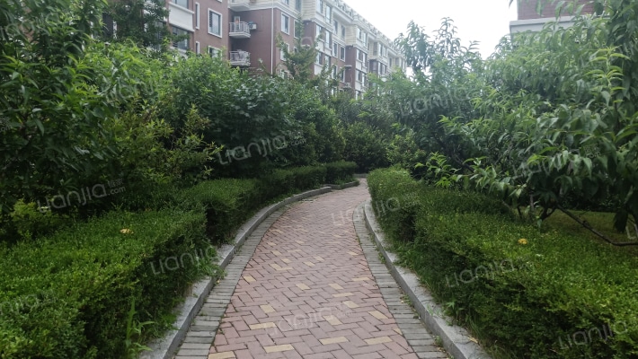 金地海韵风景外景图