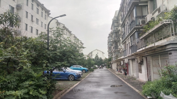 枫泾新村四区外景图