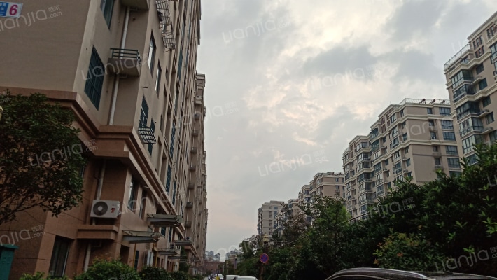 城市港湾外景图