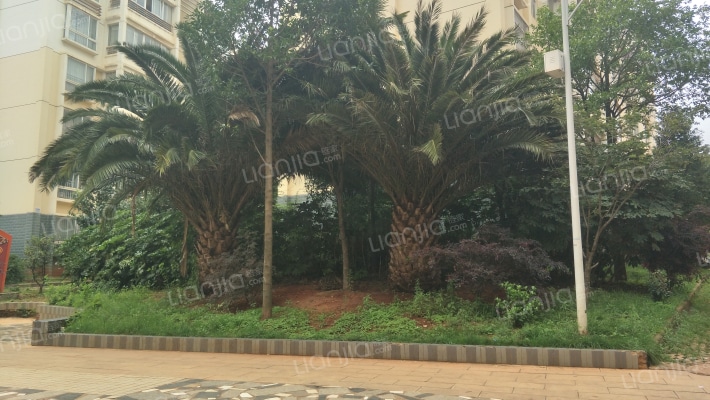 航天新苑外景图