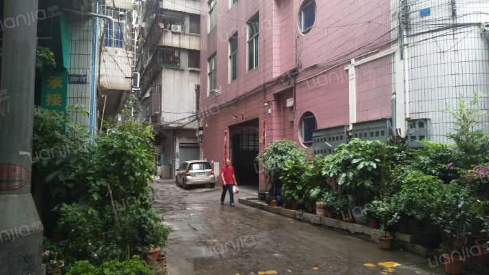 增城沙园中路小区外景图