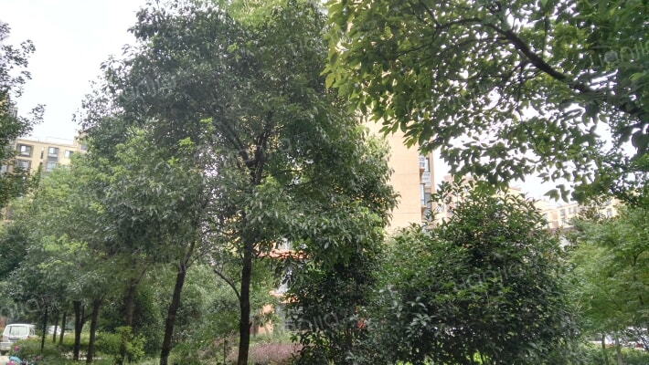 鸿润·都市华庭外景图