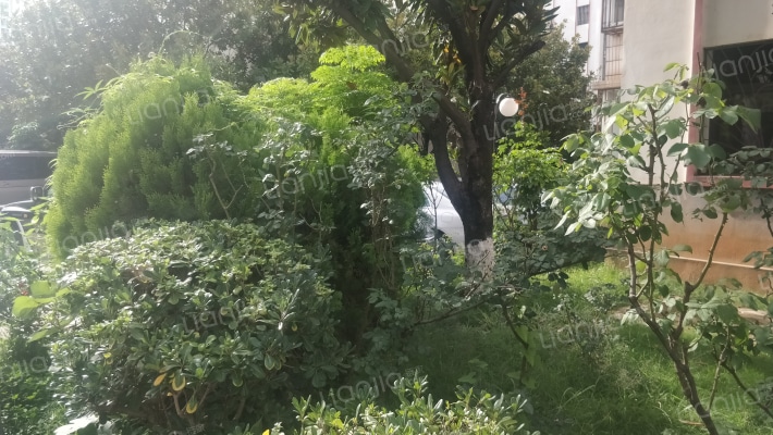 金福园南区外景图