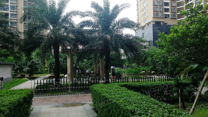 穗丰金湾外景图