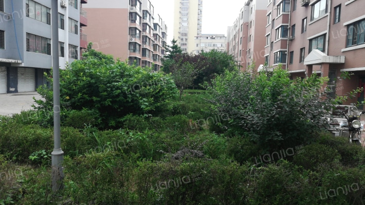 新华美辰佳苑外景图