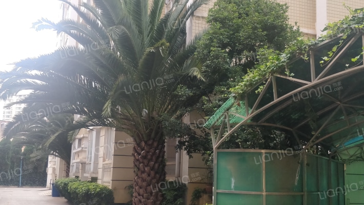 大成名园外景图