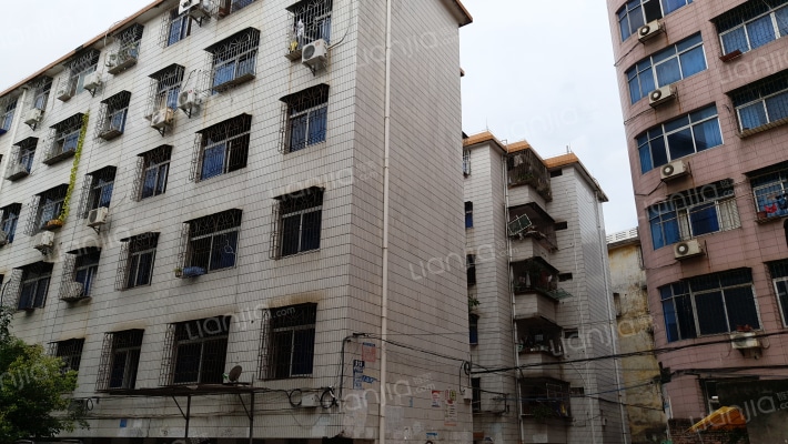 饲料厂宿舍外景图