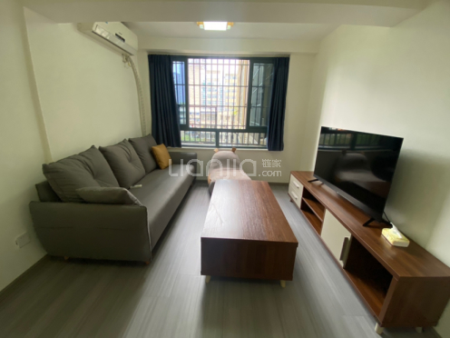 整租·荷里活 2室2厅 东南