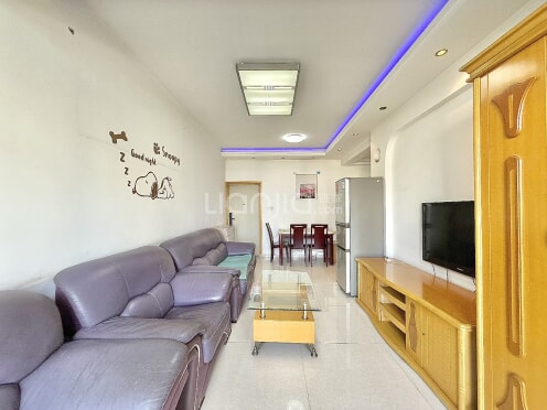 整租·晶宝盛世桃源 2室1厅 南