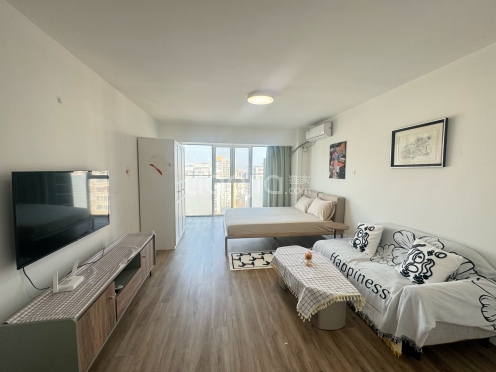 整租·远见名苑 1室1厅 东